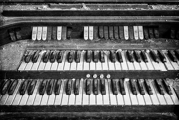 Organ