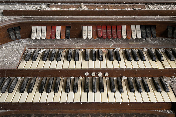 Organ
