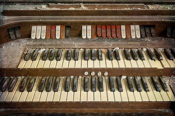 Organ