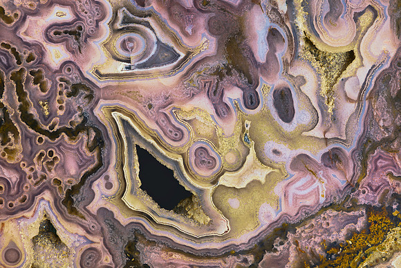 Petrified wood