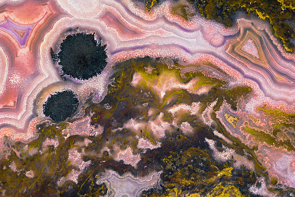 Petrified wood