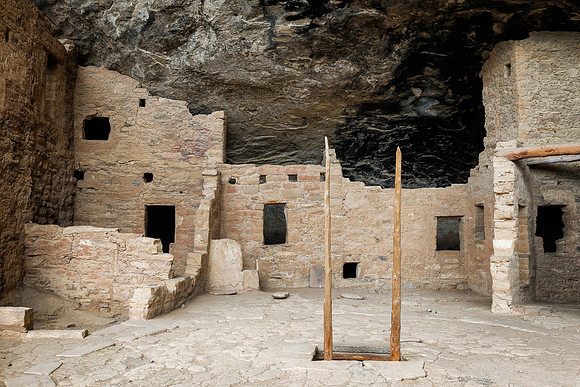 Spruce Tree House