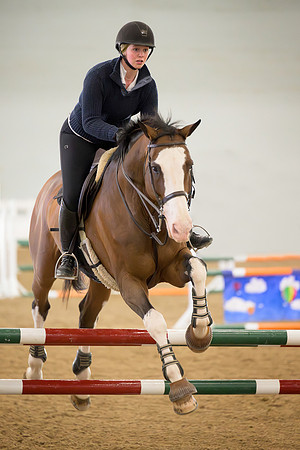 Kentucky Horse Park