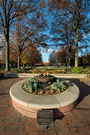 The Eternal Flame