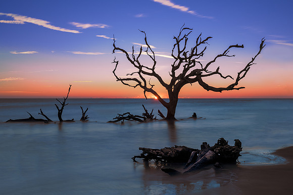 Driftwood Beach