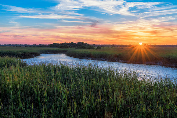 Marshy sunset
