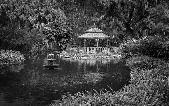 Washington Oaks Gardens