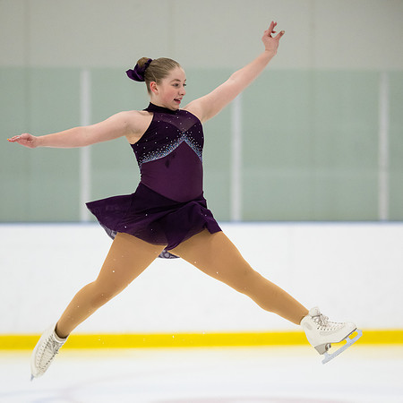 Ladybug Figure Skating Competition