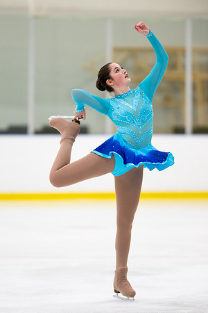 Ladybug Figure Skating Competition