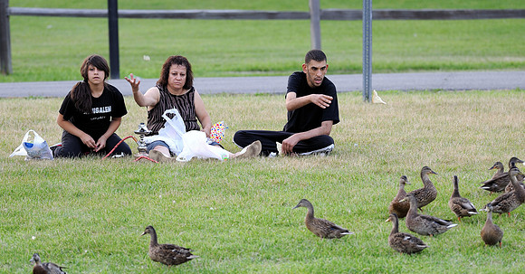 Feeding the ducks