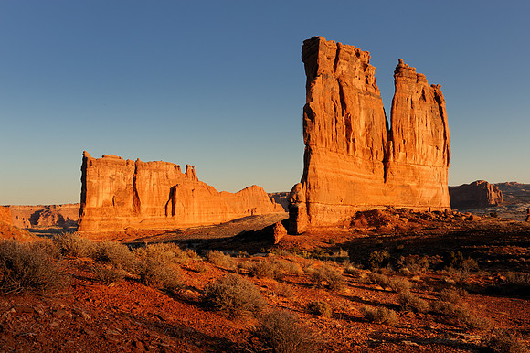 Courthouse Towers