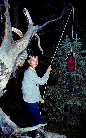 Scott hanging bear bag