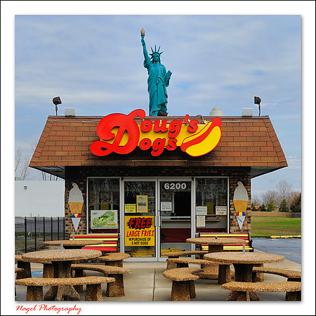 Liberty over Doug's Dogs