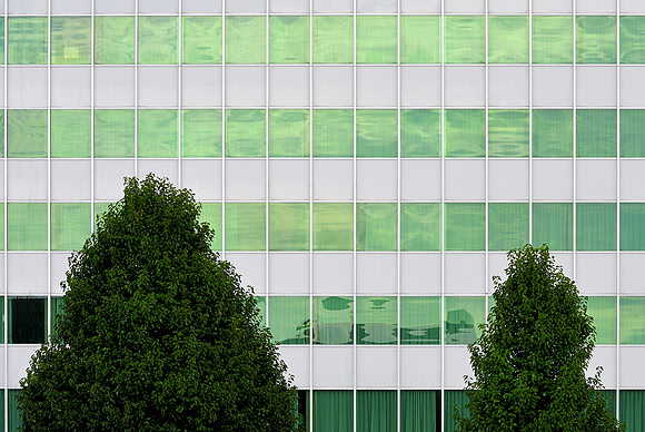 Green trees, green glass