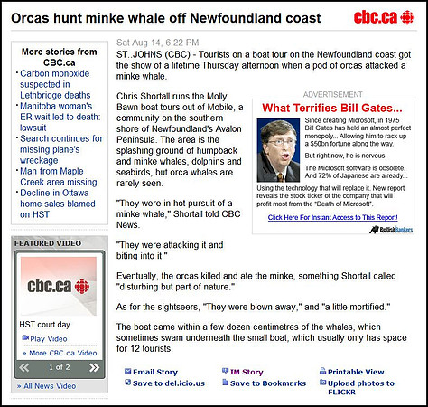 Whale article