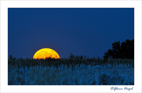 Full moon rising