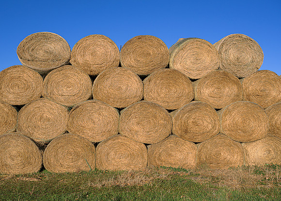 Round hay bales