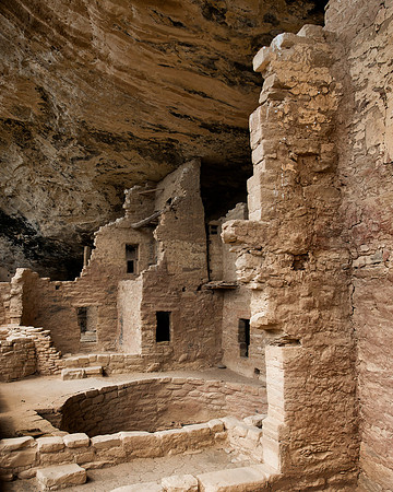 Spruce Tree House