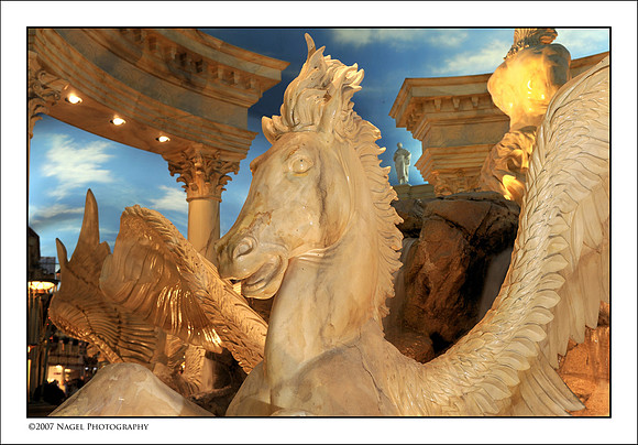 Forum display