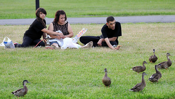 Feeding the ducks