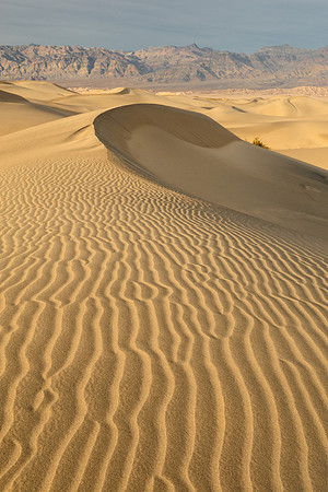 Mesquite Sand Dunes