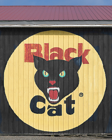 Black Cat