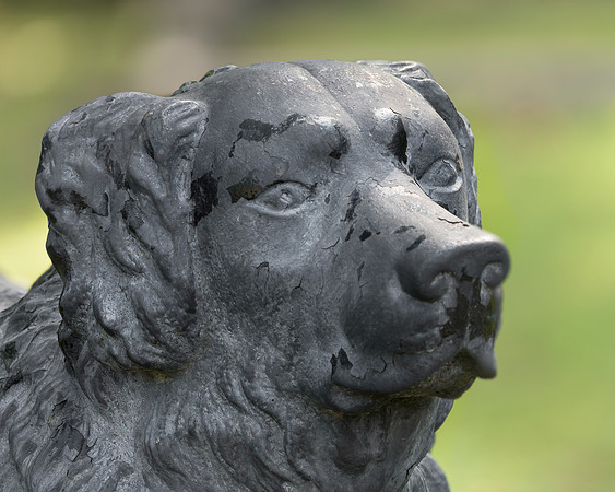 The Iron Dog