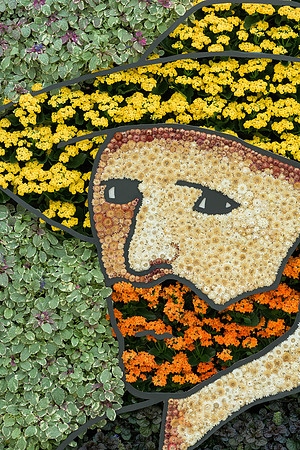 Vincent van Gogh