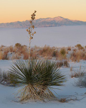 White Sands