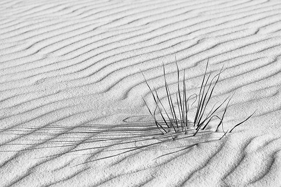 White Sands