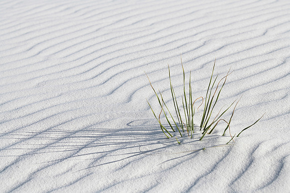 White Sands