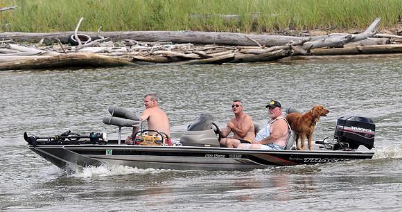 Boating with the dog