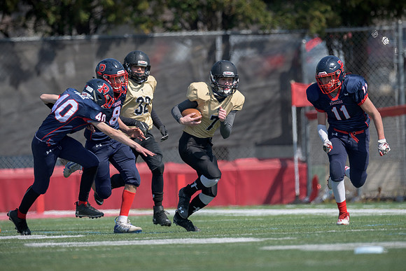 Orland Park Pioneers Football