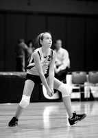 Allison Nagel