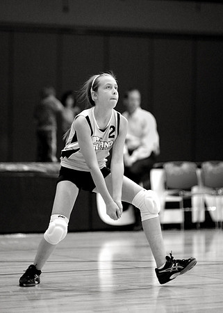 Allison Nagel