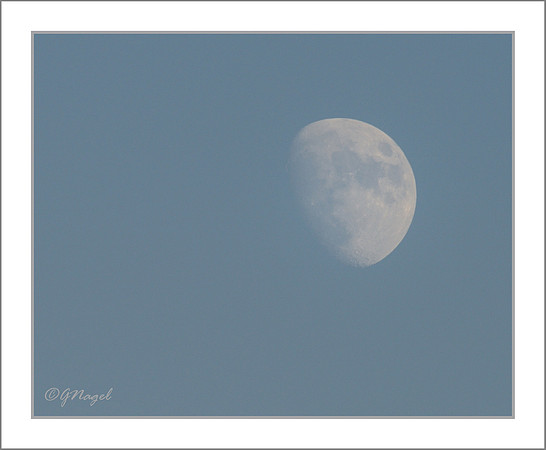 Twilight moon