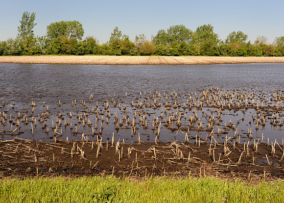 Flooded farm field