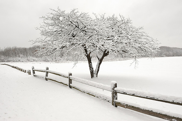 Cherry Hills snow fall