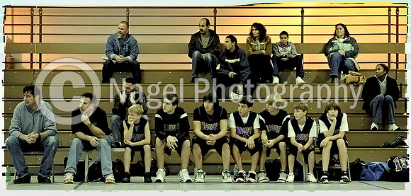 Hawks & fans