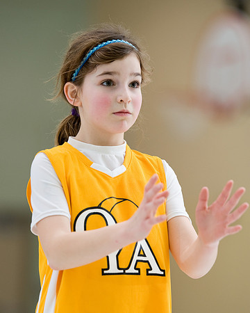 OYA 3rd grade basketball