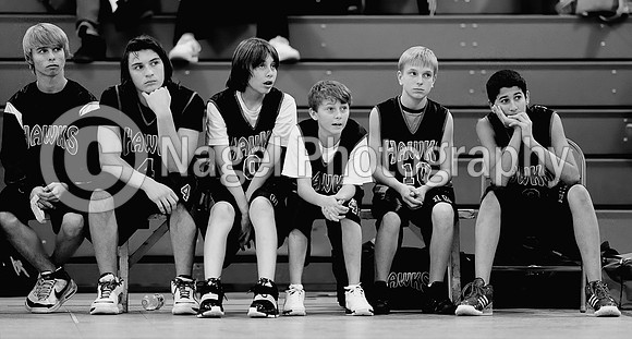B&W Hawks