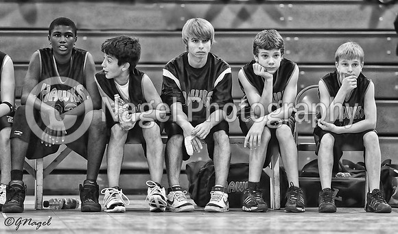 Bench Hawks