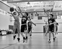 Cardinal Bernardin Basketball