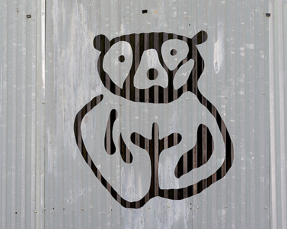 Bear on metal