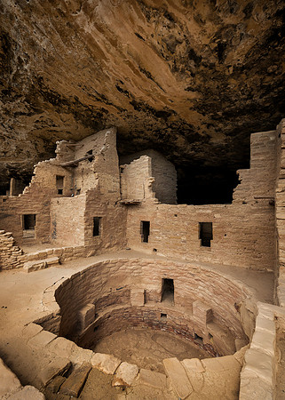 Spruce Tree House