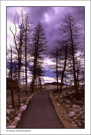 Walkway to the fan