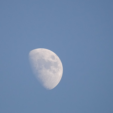 Moon