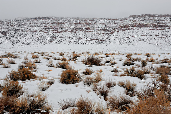 Arches National Park