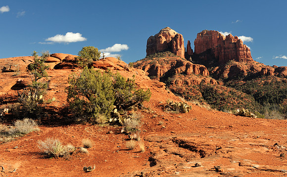 Cathedral Rock