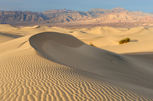 Mesquite Dunes